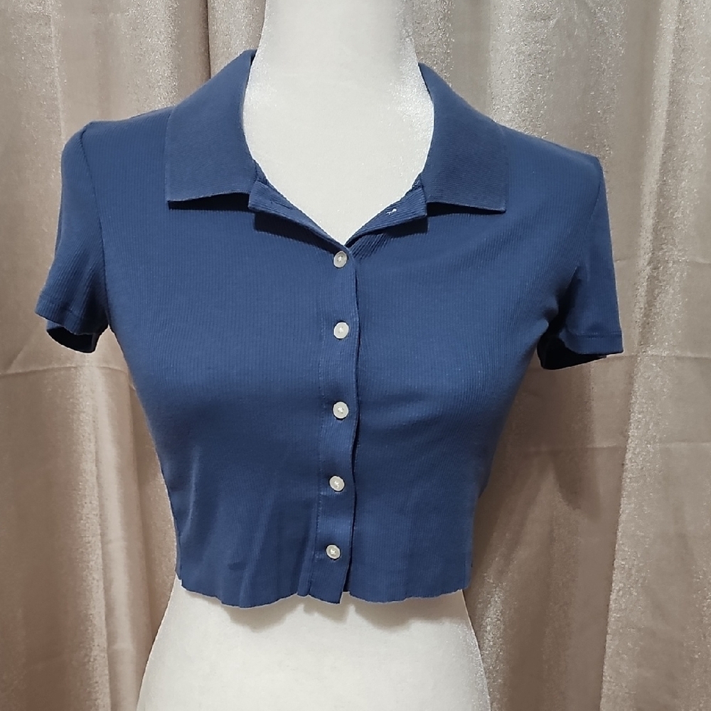 American Eagle Outfitters Blue Crop Button Down Shirt